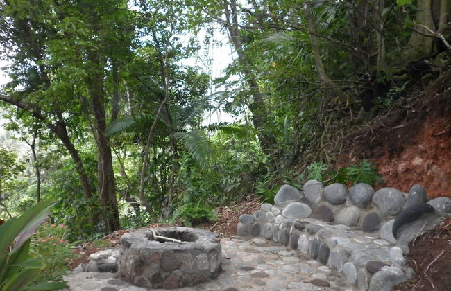 Citrus Creek Plantation - Photo 8