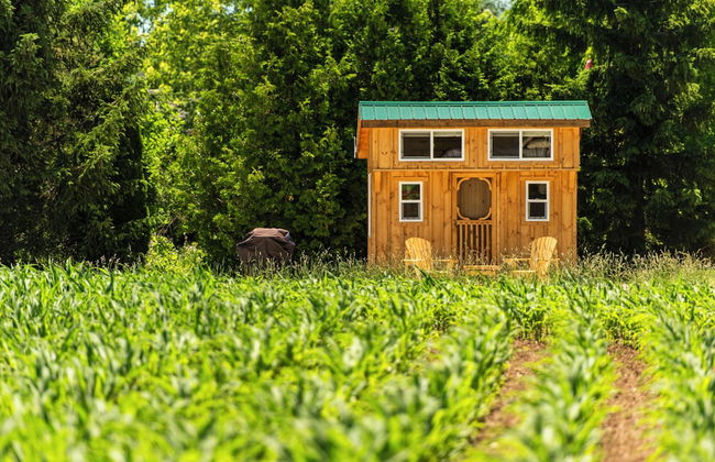 Boho Beaver - Foto 8