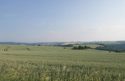 Gartenwohnung Paulsdorf - Foto 23