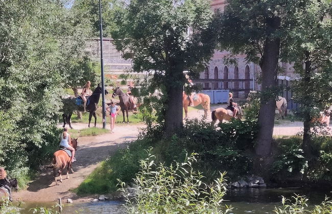 TinyHousebeiDresden unser größtes winziges Häuschen für bis zu 7 Personen, Kaminofen, große Terrasse - Nähe Sächsische Schweiz - Foto 10