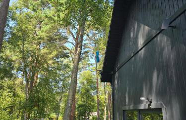 Daglezji 170 - Foto 20