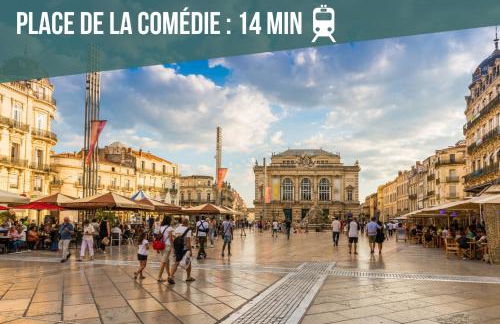 Le Jardin du Lez - Parking Privé et Gratuit - Wifi Fibre - Rives du Lez - Photo 20