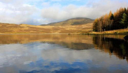 The Fortalice - Foto 4, Other