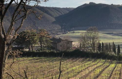 Agriturismo Beata Vanna - Foto 33