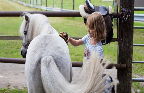 Der Alps Hof - Foto 31