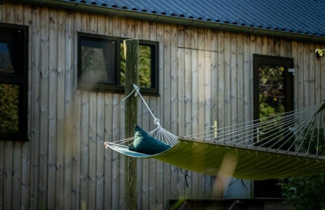 Waterlodge Skries in Nes - Foto 23