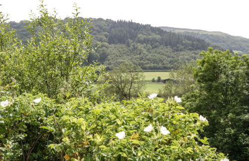 Fron Goch Farm - Photo 78