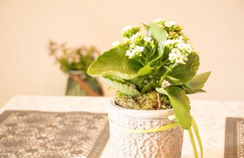 Auf'm Reifnhof - Foto 49