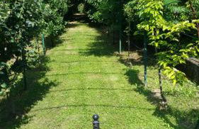 romagnoli family cottage - Foto 27