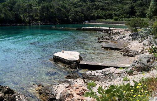 Secluded fisherman's cottage Cove Sveti Ante, Hvar - 24817 - Foto 24