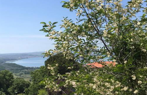 Agriturismo Le Casette Sul Lago - Foto 30