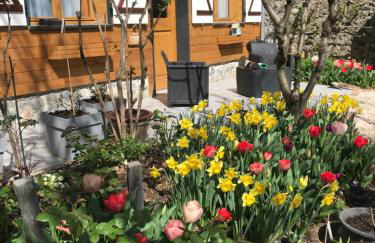 Le cerisier de Mamie - Foto 8