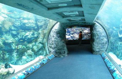 Long Beach House - Foto 53