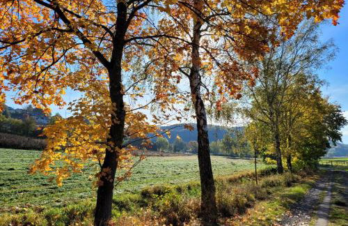 Ferienhaus Landhaus Am Hirtzborn - Foto 78