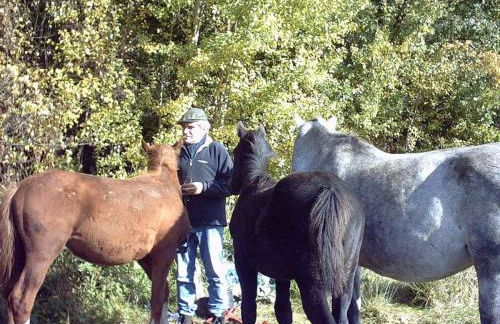 at Bunge Heath Farm - formerly TUI Ferienhaus - Photo 28