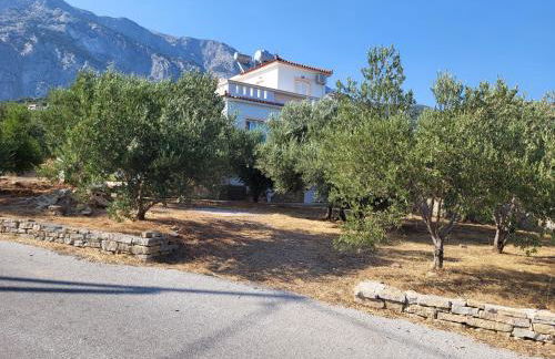 Olive Τree Ηouses - Foto 30