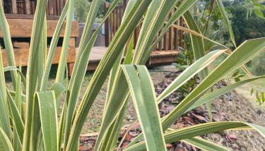 Podere Cortesi Agriturismo Molinaccio - Foto 4