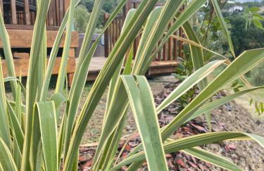 Podere Cortesi Agriturismo Molinaccio - Foto 4