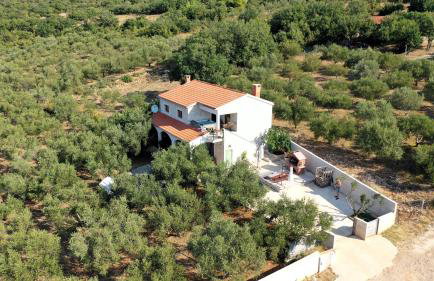 Olive garden Platinum, Posedarje - Photo 4