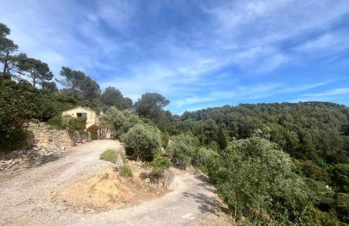 Aix-en-Provence, Bastidon provençal plein cœur de la forêt avec vue unique - Foto 39