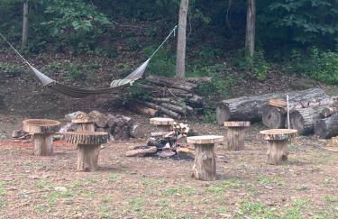 Carlton Cabin at Lake of Egypt 500 Sq Ft - Photo 21