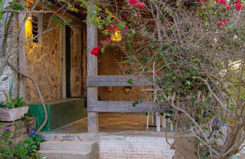 Paradise Camp - Foto 53