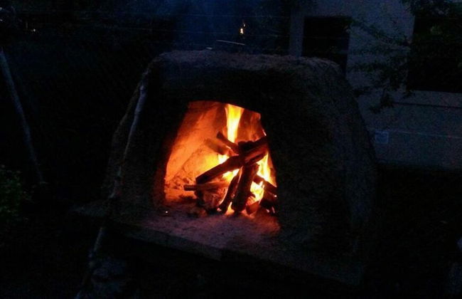 Dark Green House - Chacras de Coria - Photo 70