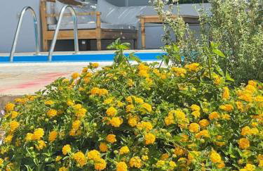 Villa Constantinos - Foto 24