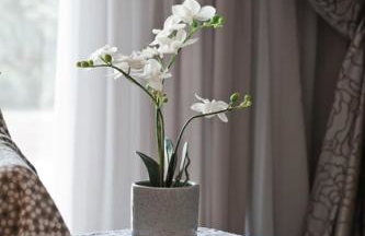 Villa Maltina - Foto 14