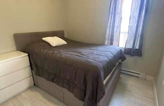 Le Convivial - Foto 7