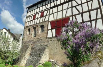 Gut Bunt Ferienhaus - Photo 6