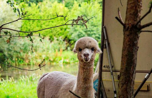 Zielona Zagroda Agnieszka Połeć - Foto 12
