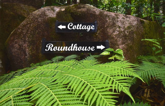 Daintree Cascades - Foto 40