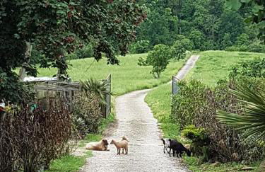 Agriturismo Cisogna - Foto 68