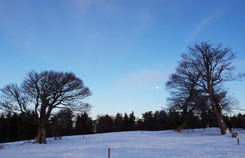 Haus Feldbergblick, Apartment "Valentine", Lenzkirch, Hochschwarzwaldkarte - Foto 17