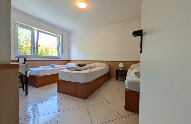 Pension Seckbach - Foto 52