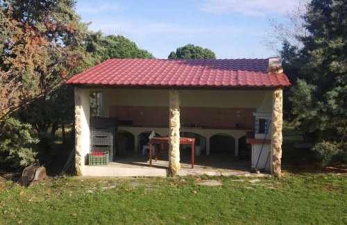 Ελαιώνας και θάλασσα - Foto 6