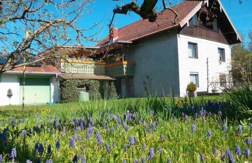 Zeiler Peter und Luisie - Photo 3