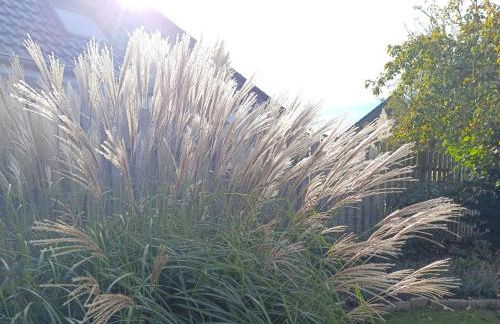 Ferienhaus Auszeit - Foto 27