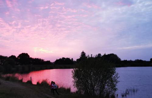Sous la canopée - le calme au bord du lac - Foto 32