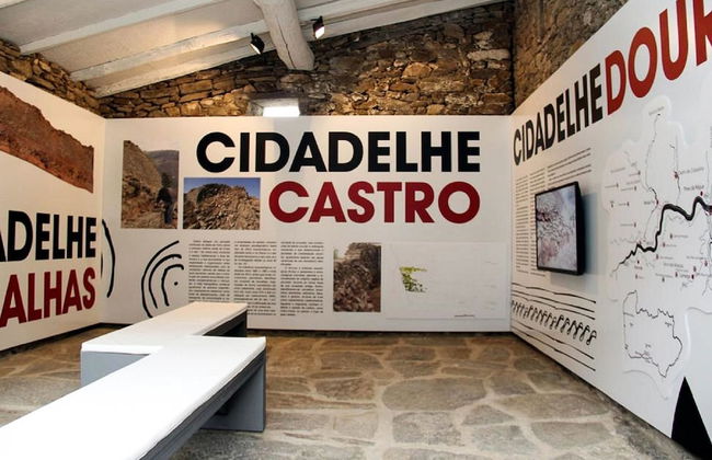 Sobreiros's Villa in Douro Valley - Foto 37