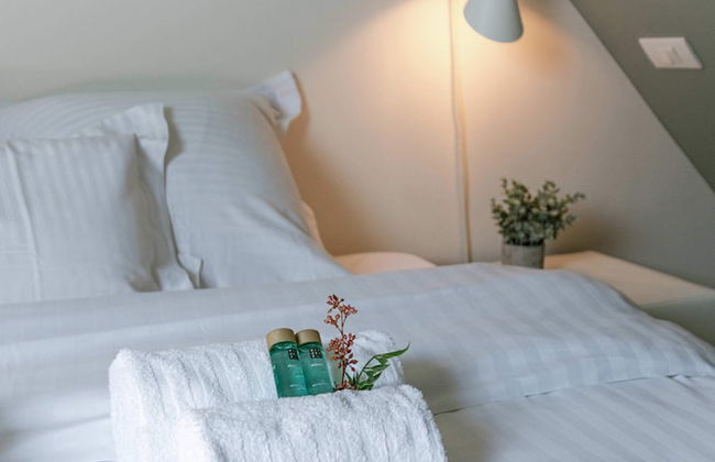 Bonrepo Room 105 in Brugge - Foto 5