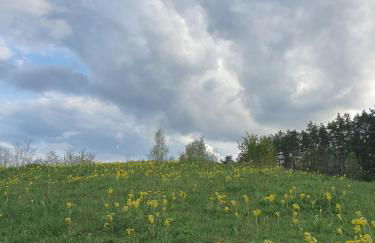 Haus Goldfuß - Foto 6