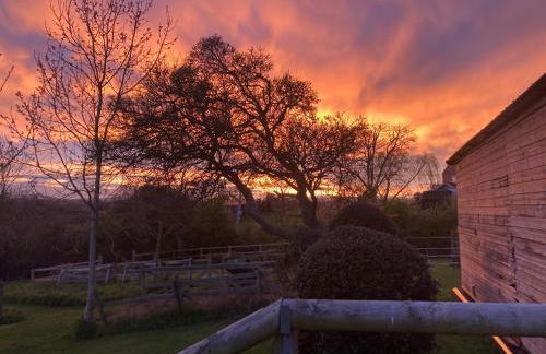 The Stable with cozy logburner - Foto 78