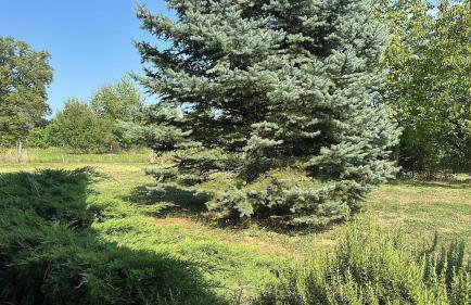 Podroom LauMarYvo - Foto 61