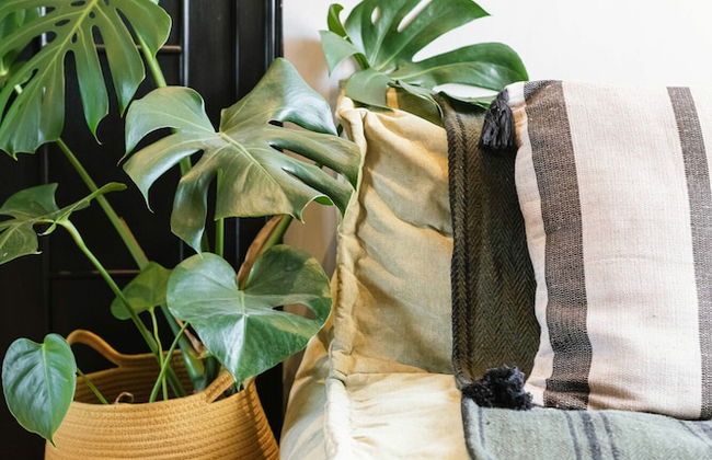 STAY Lagom Coastal House - Foto 7