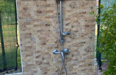 L'albero di limoni sul mare di Pizzo - Photo 42