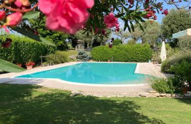 agriturismo" il glicine bianco" - Foto 41