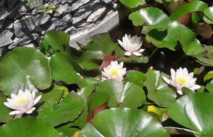 Casa Santo Stefano - Foto 51