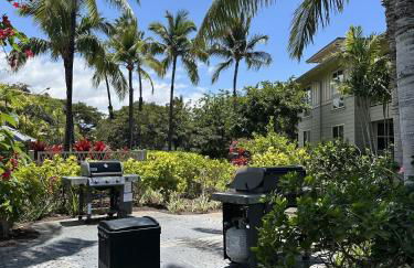 Waikoloa Beach Villas #O23 condo - Foto 44